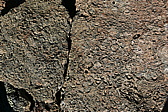 p1150341.jpg