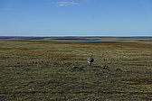 p1150368.jpg