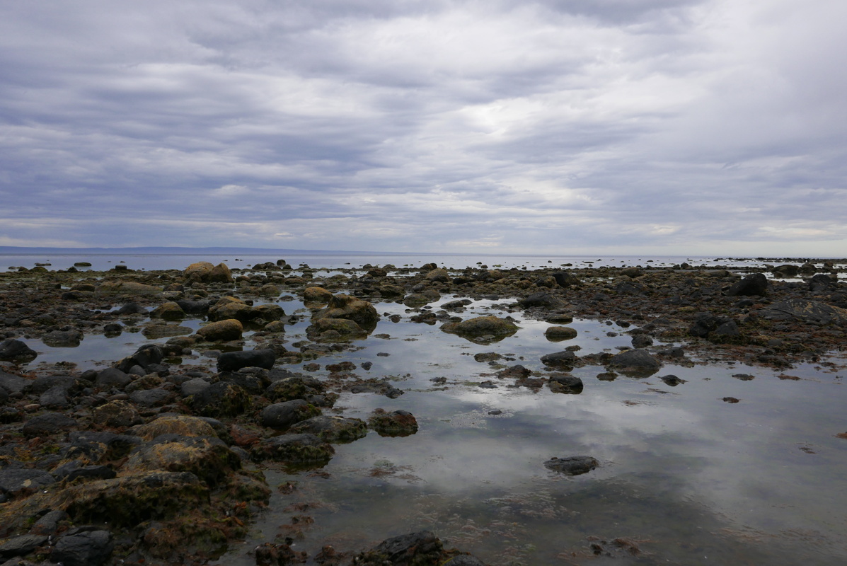 p1150411.jpg