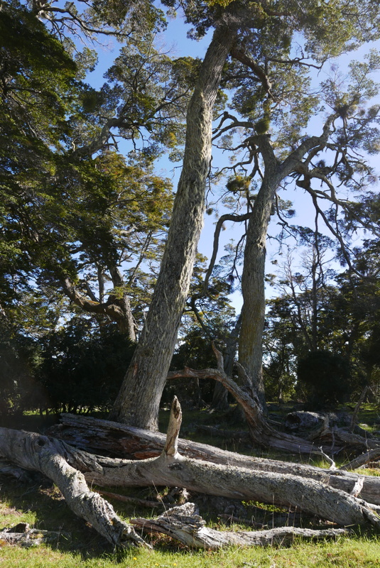 p1150424.jpg