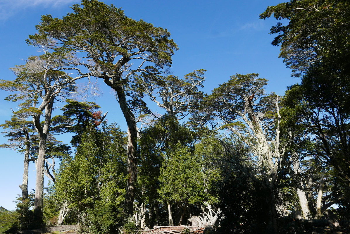 p1150425.jpg
