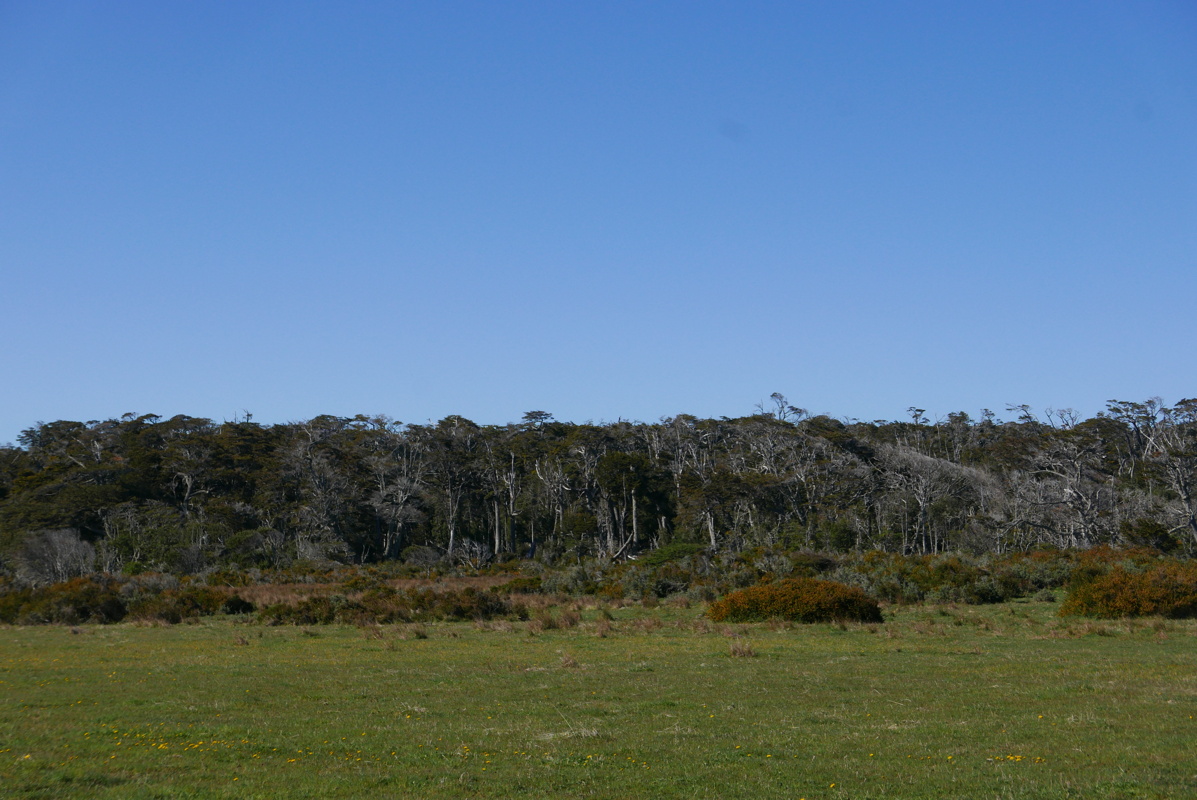 p1150433.jpg