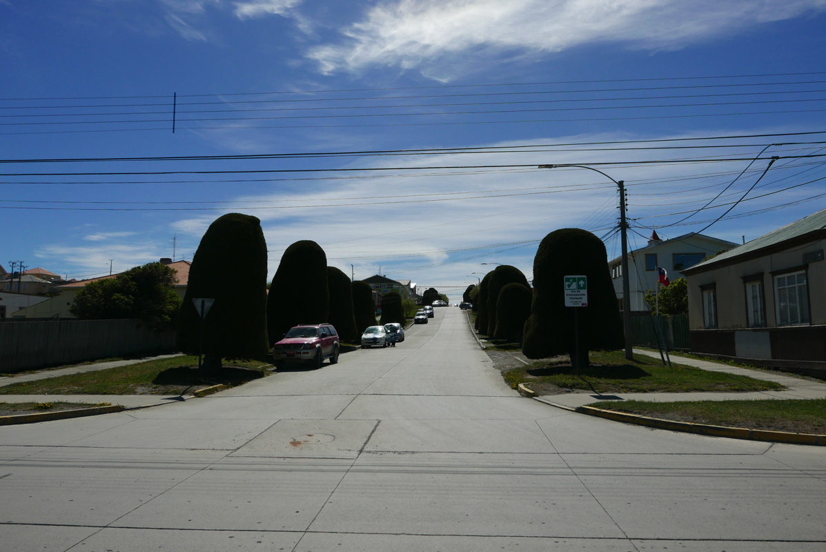 p1150477.jpg
