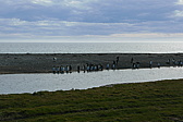 p1150399.jpg