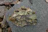 p1150412.jpg