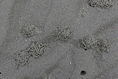 p1150413.jpg