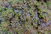 p1150415.jpg