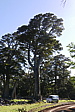 p1150428.jpg