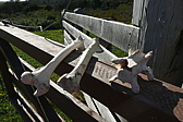 p1150432.jpg