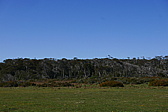 p1150433.jpg