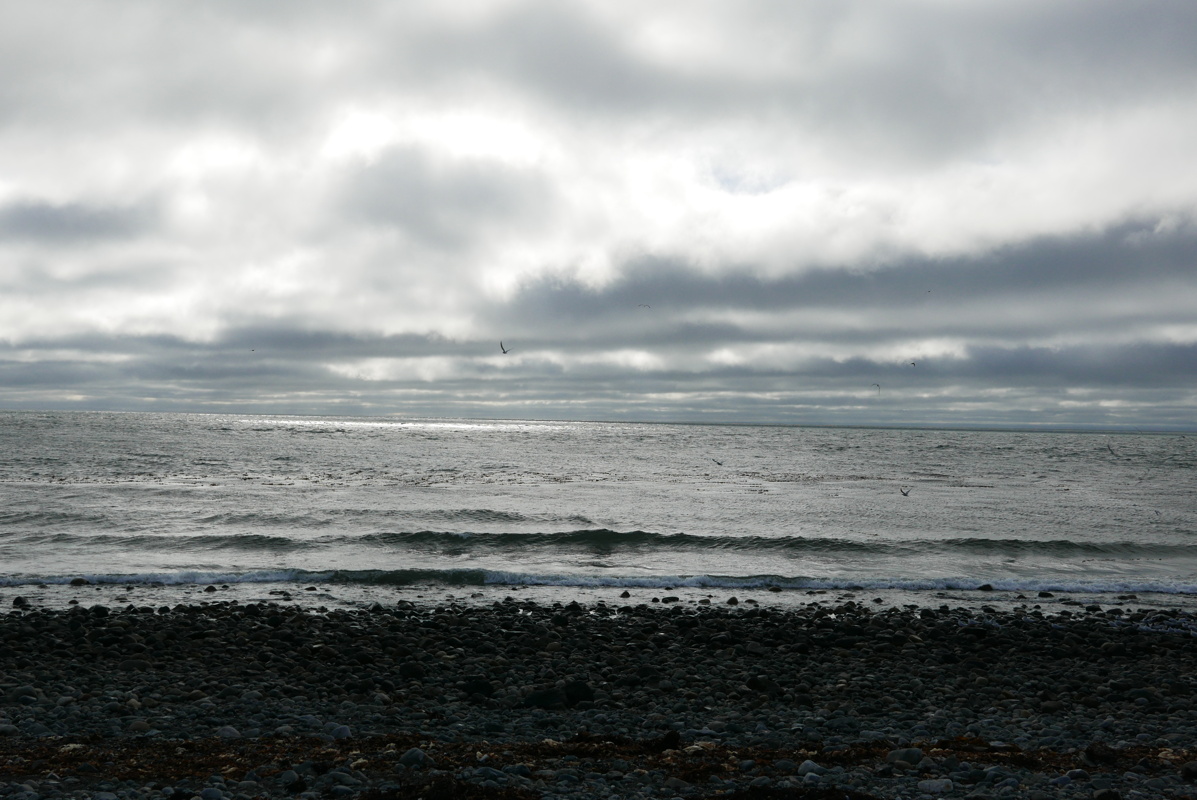 p1150514.jpg