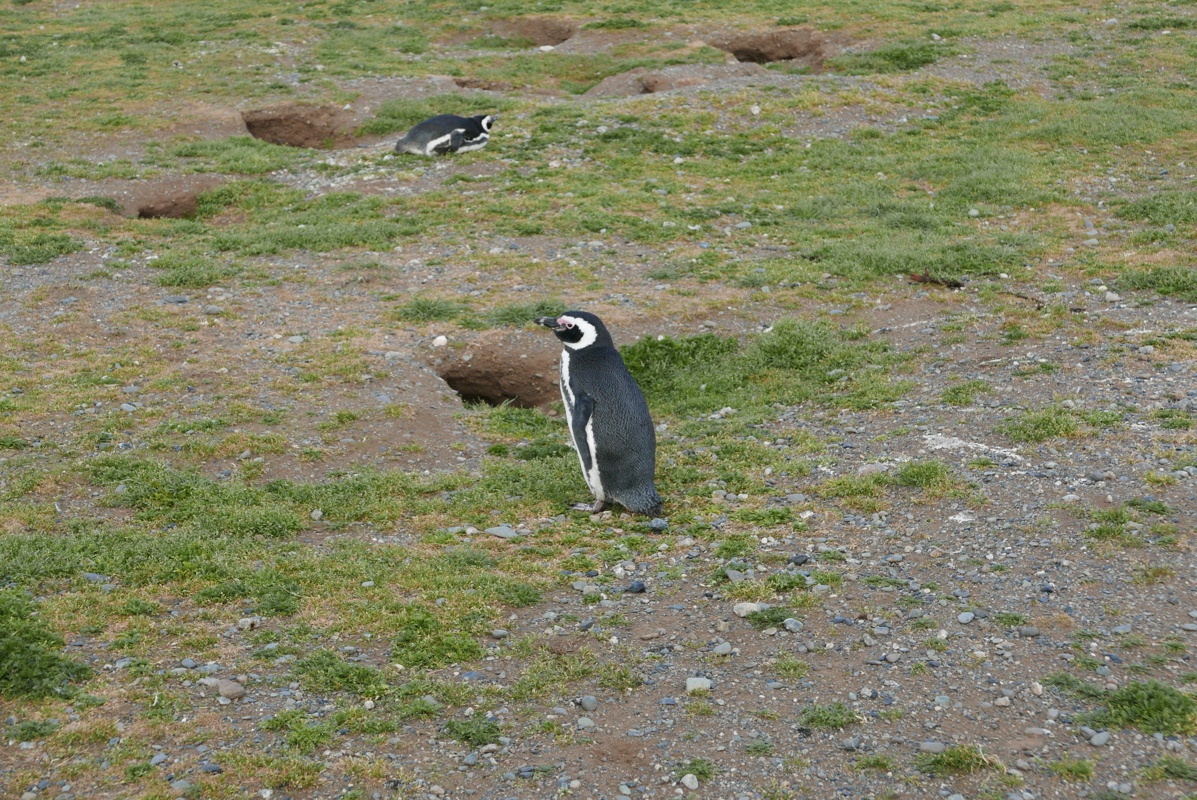 p1150517.jpg