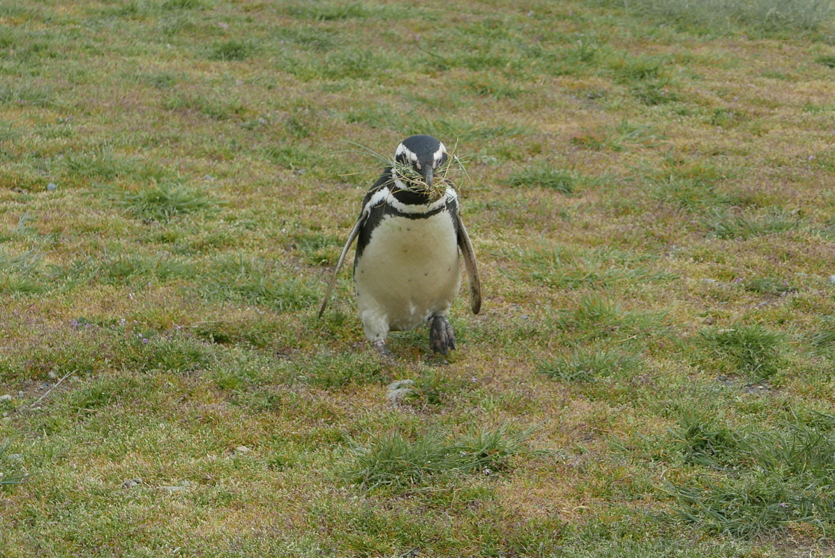 p1150544.jpg