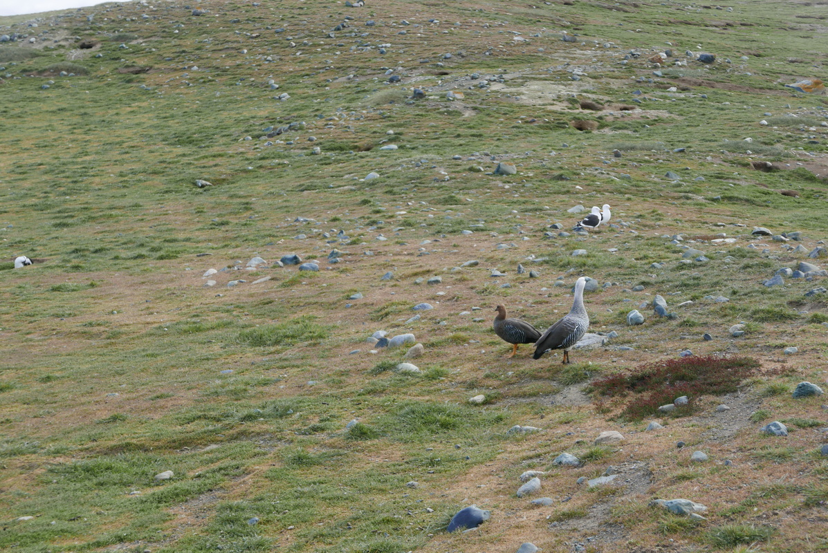 p1150556.jpg