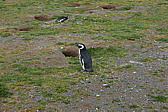 p1150517.jpg