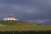 p1150523.jpg