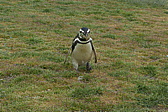 p1150544.jpg