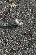 p1150560.jpg