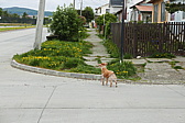 p1150609.jpg