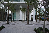 p1150623.jpg