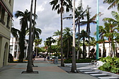 p1150658.jpg