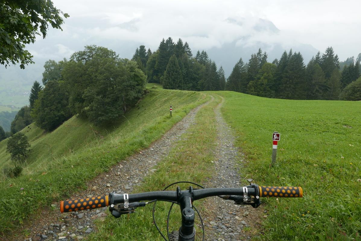 p1130746.jpg