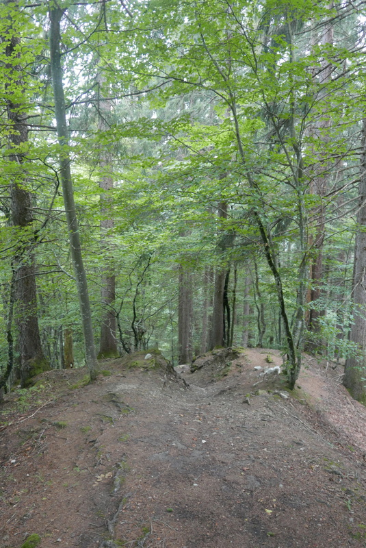 p1130747.jpg