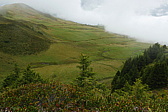 p1130731.jpg