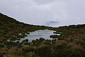 p1130733.jpg
