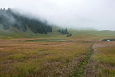 p1130742.jpg
