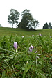 p1130743.jpg