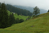 p1130744.jpg