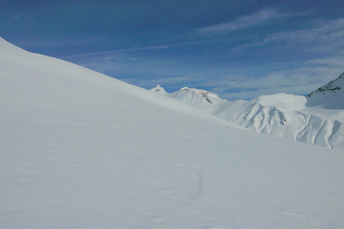 p1150864.jpg