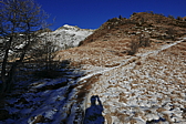 p1110146.jpg