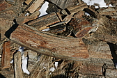 p1110162.jpg