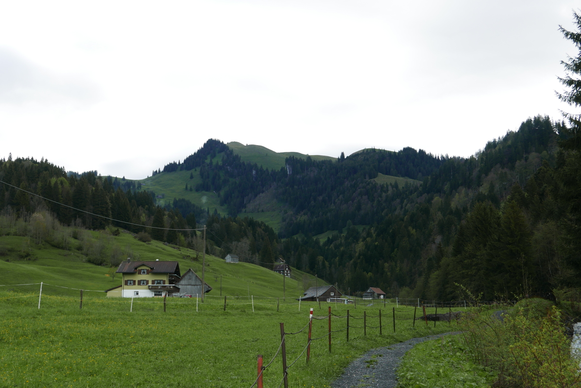 p1120342.jpg