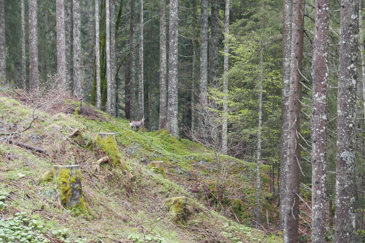 p1120366.jpg