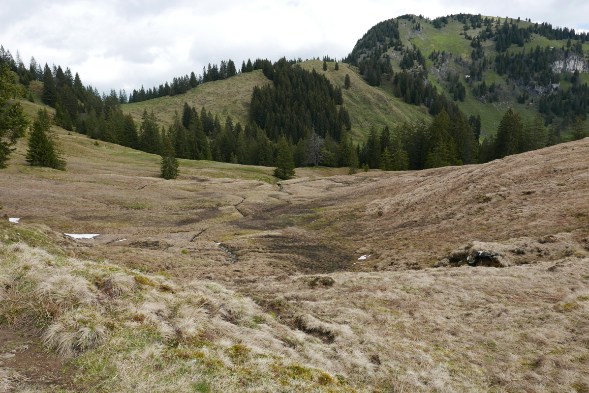 p1120375.jpg