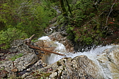 p1120348.jpg