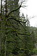 p1120355.jpg