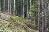 p1120366.jpg
