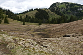 p1120375.jpg