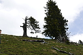 p1120387.jpg