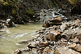 p1120393.jpg