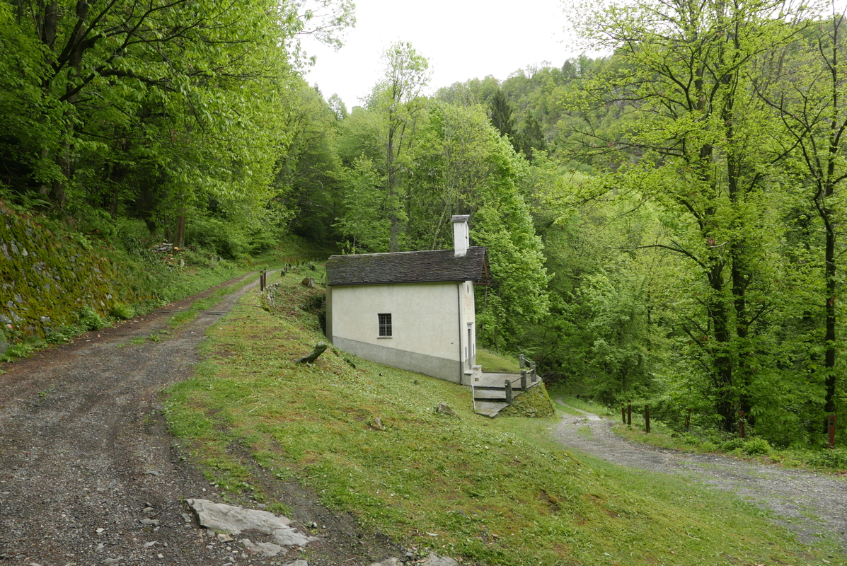 p1120298.jpg