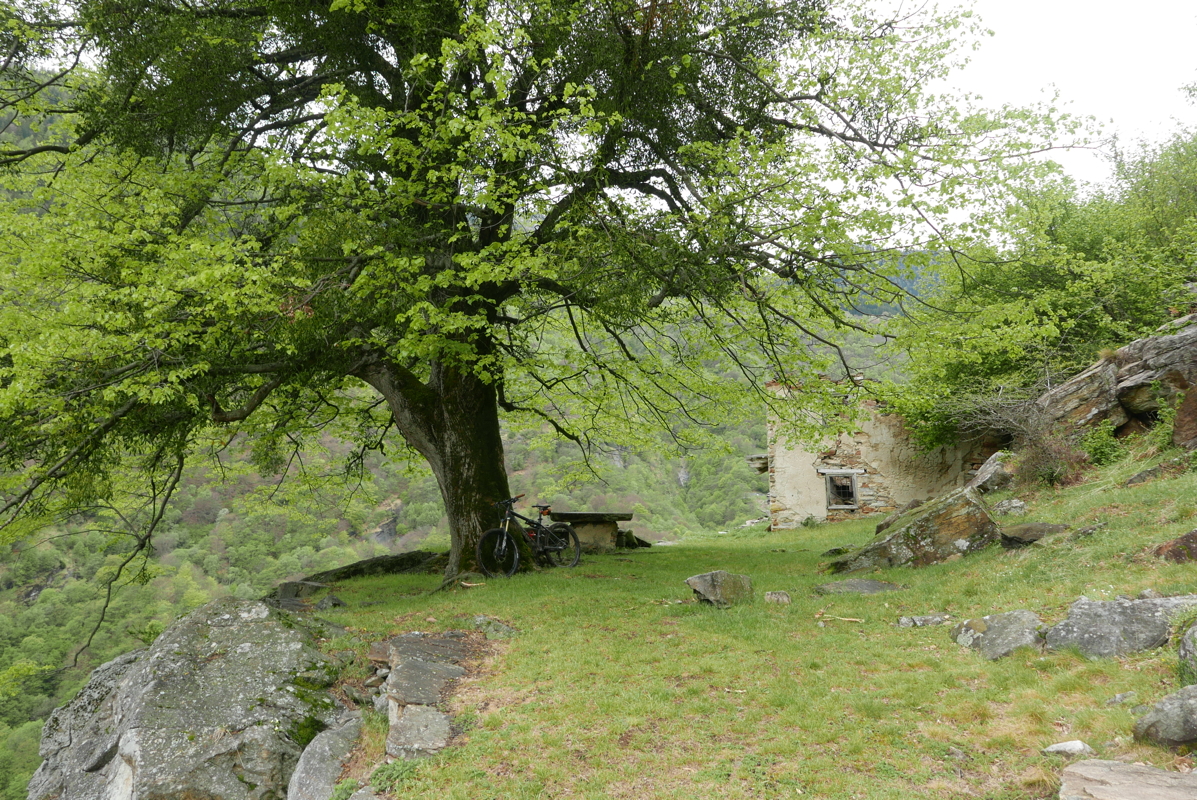 p1120306.jpg