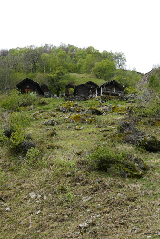 p1120309.jpg