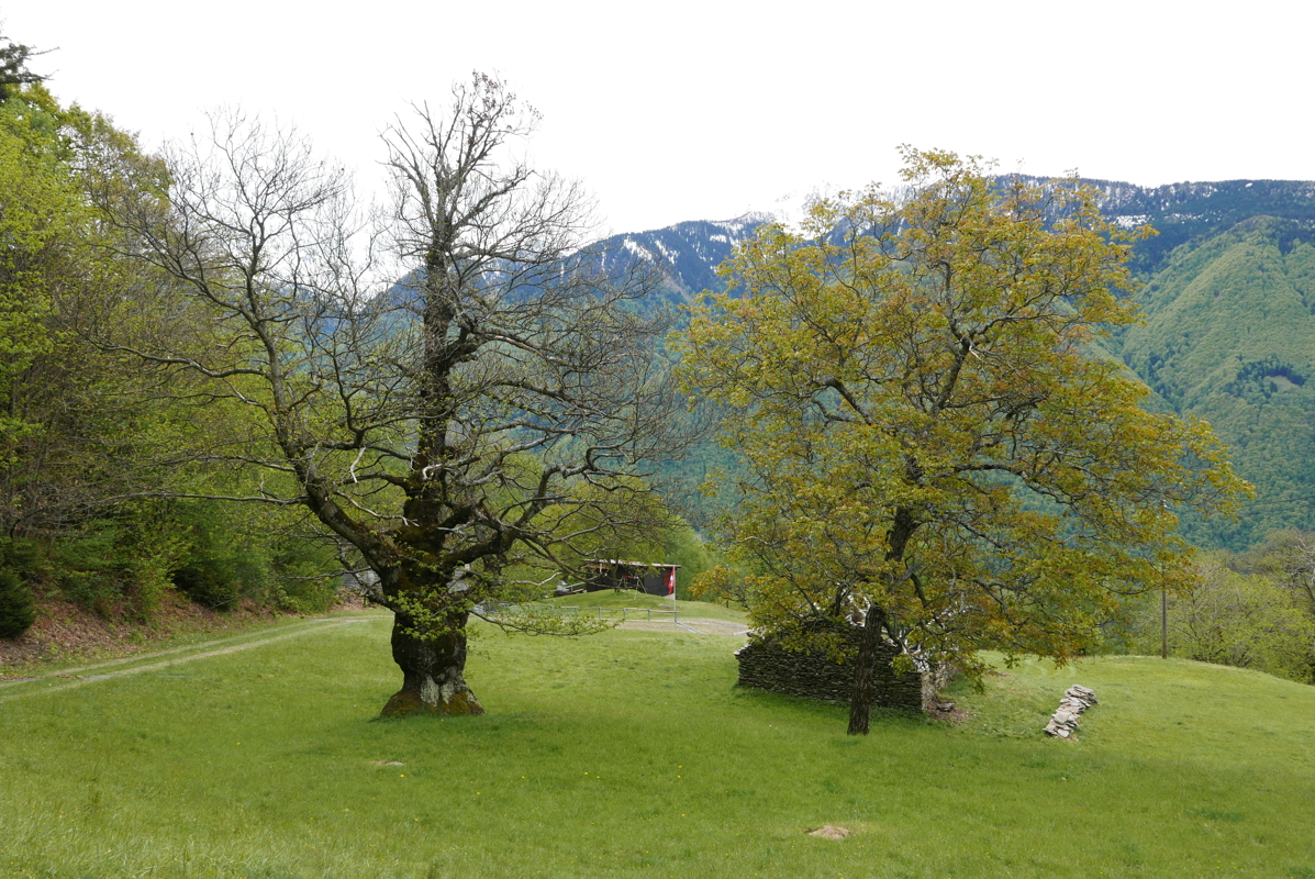 p1120314.jpg