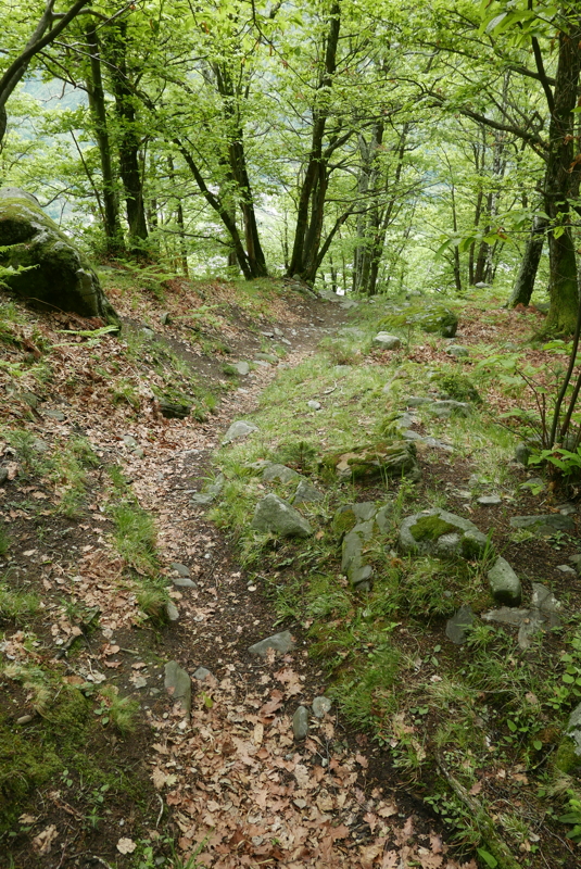 p1120318.jpg