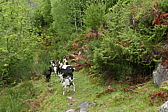 p1120303.jpg